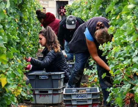 Dans les Bottes de Couvent